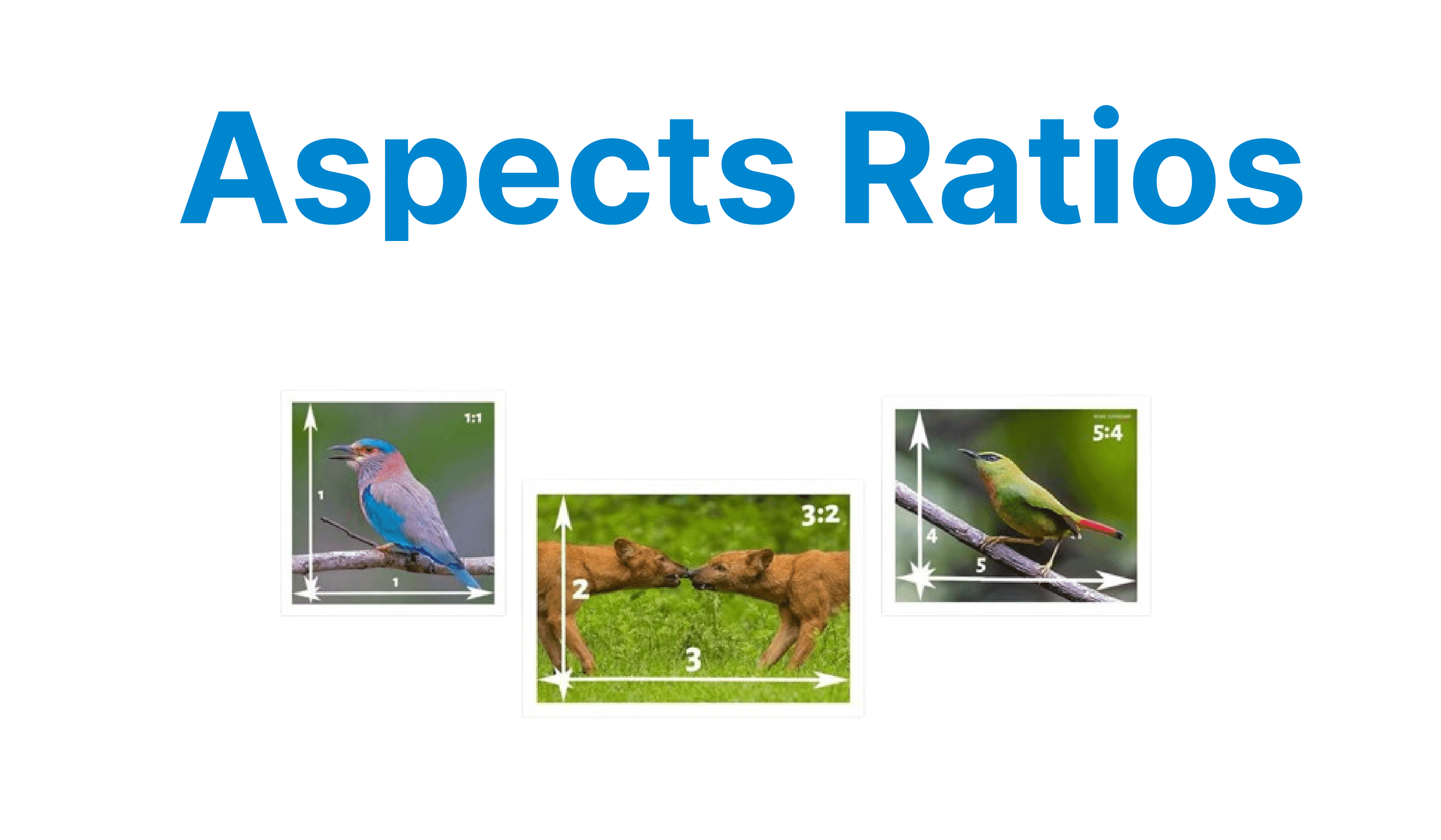 Aspect Ratios in Video: From 4:3 to 21:9