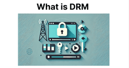 What is Digital Rights Management (DRM)? An Introduction