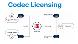Codec Licensing & Royalties: What Developers Need to Know