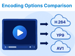 Comparing Encoding Options Across Popular SaaS Platforms