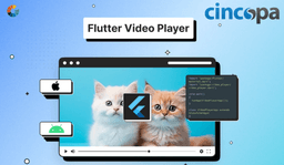 Choosing the Best Flutter Video Player Plugin