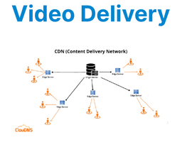 Video Delivery via CDNs
