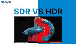 SDR vs HDR: Visual Differences & Technical Workflow