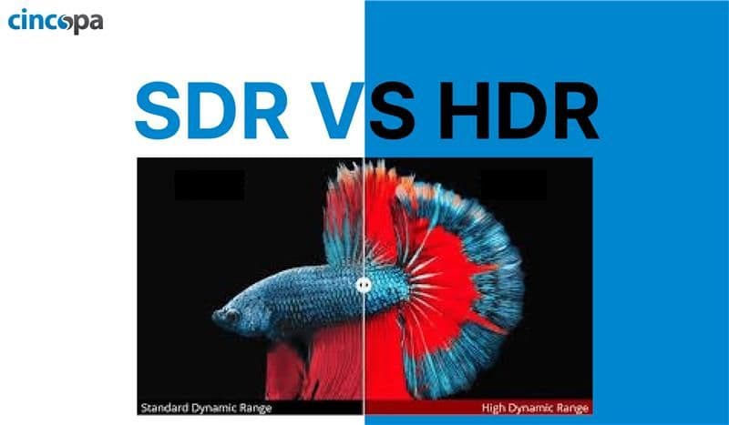 SDR vs HDR: Visual Differences & Technical Workflow