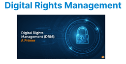 Digital Rights Management (DRM): Widevine, PlayReady & FairPlay Explained