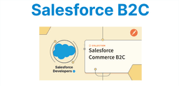 Salesforce Commerce for B2C: Features and Use Cases