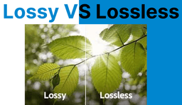 Video Compression Techniques: Lossy vs Lossless Explained