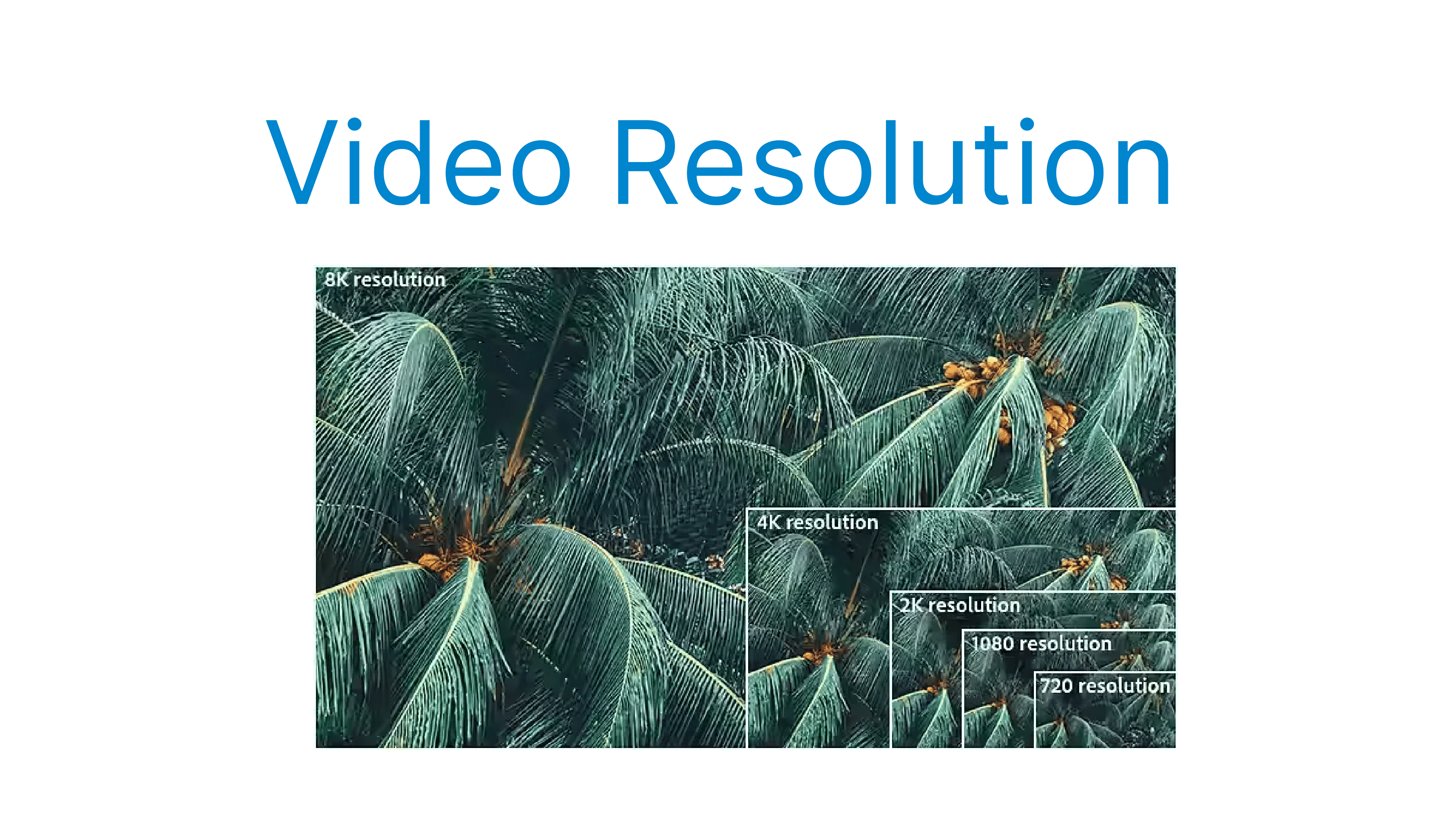 Video Resolutions: SD, HD, Full HD, 4K, and 8K Explained