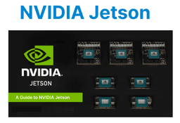 NVIDIA Jetson for Video Edge Processing: Developer’s Guide
