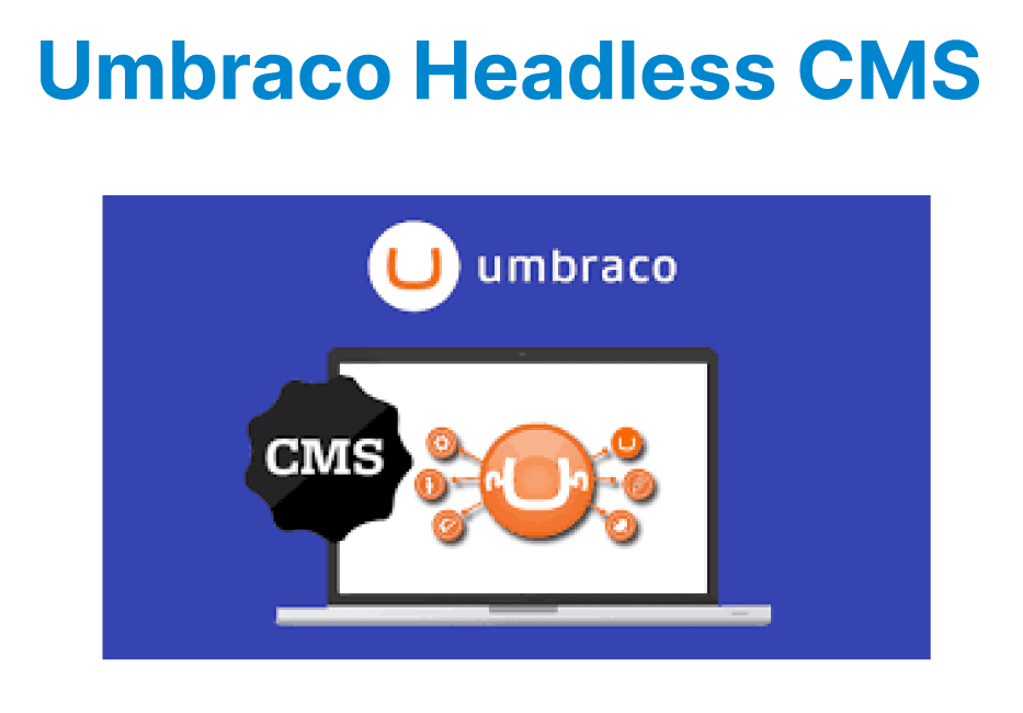Umbraco as a Headless CMS: Features and Architecture